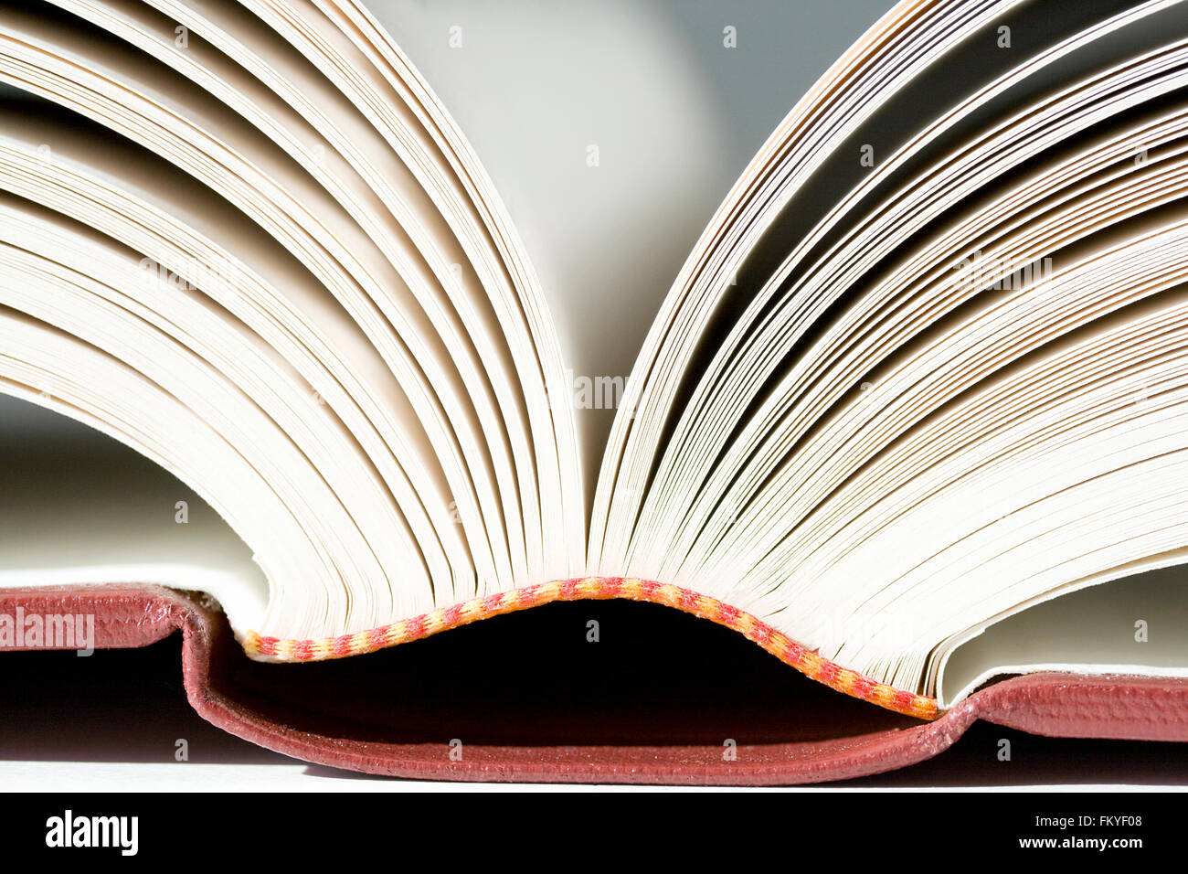 Close up of spine of open book Stock Photo