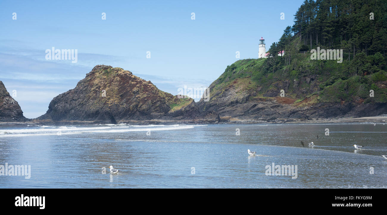 The Heceta Head lighthouse perches high on a cliff above craggy rocks and a water covered beach in Lane County Oregon. Stock Photo
