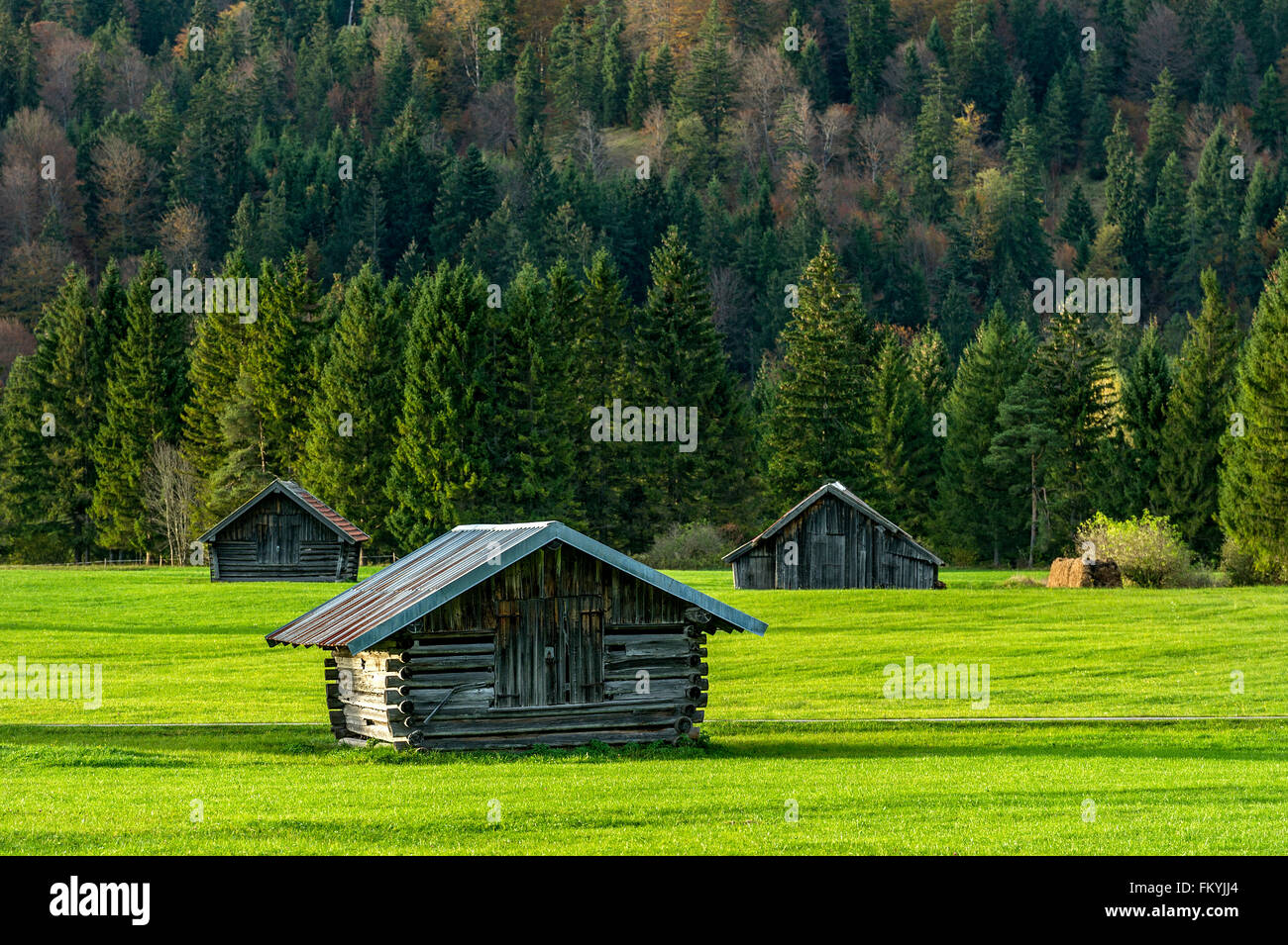Meadow with hay huts, Wallgau, Upper Bavaria, Bavaria, Germany Stock Photo
