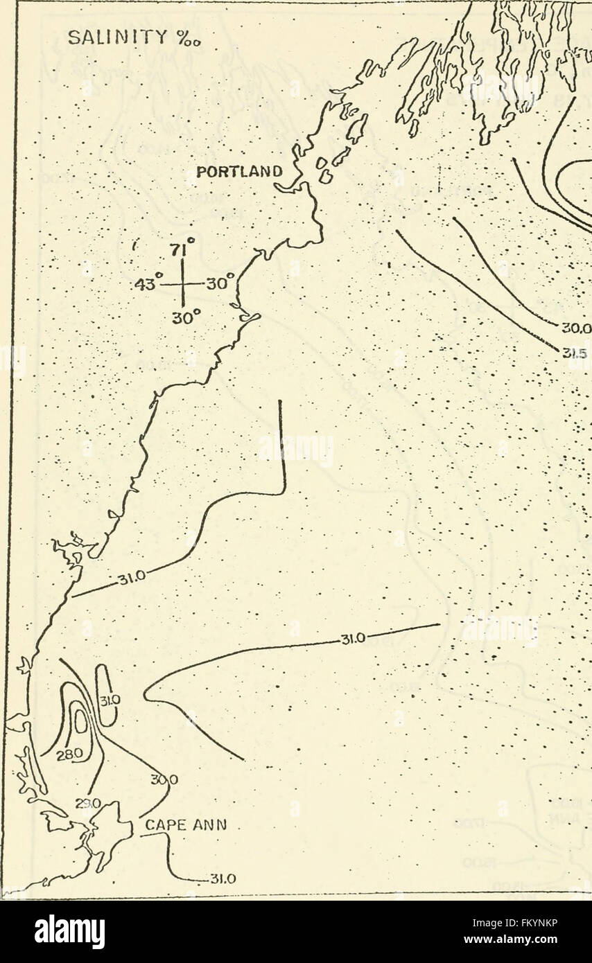 An ecological characterization of Coastal Maine (north and east of Cape Elizabeth) (1980) Stock Photo
