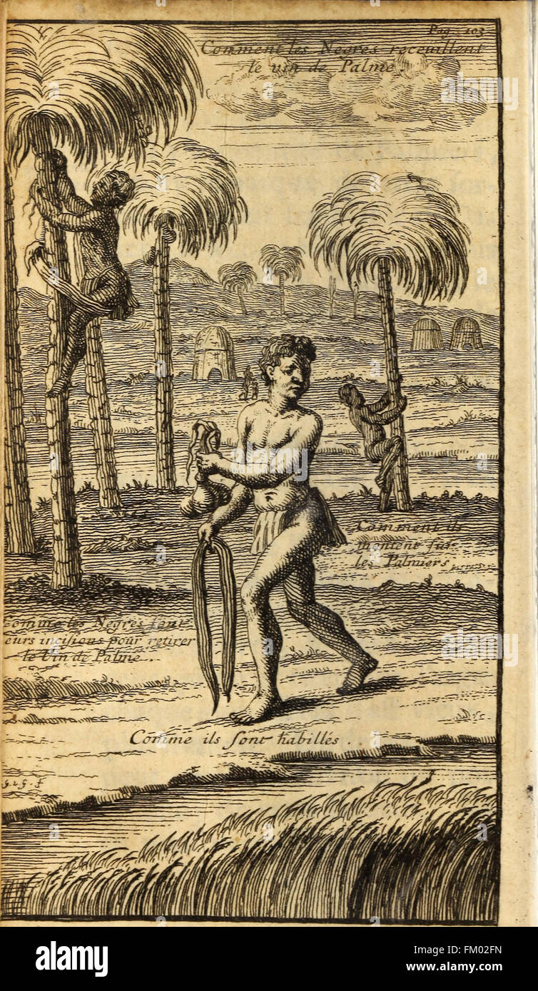 Les Voyages Du Sieur Le Maire Aux Iles Canaries Cap Verd Senegal Et Gambie 1695 Stock Photo Alamy