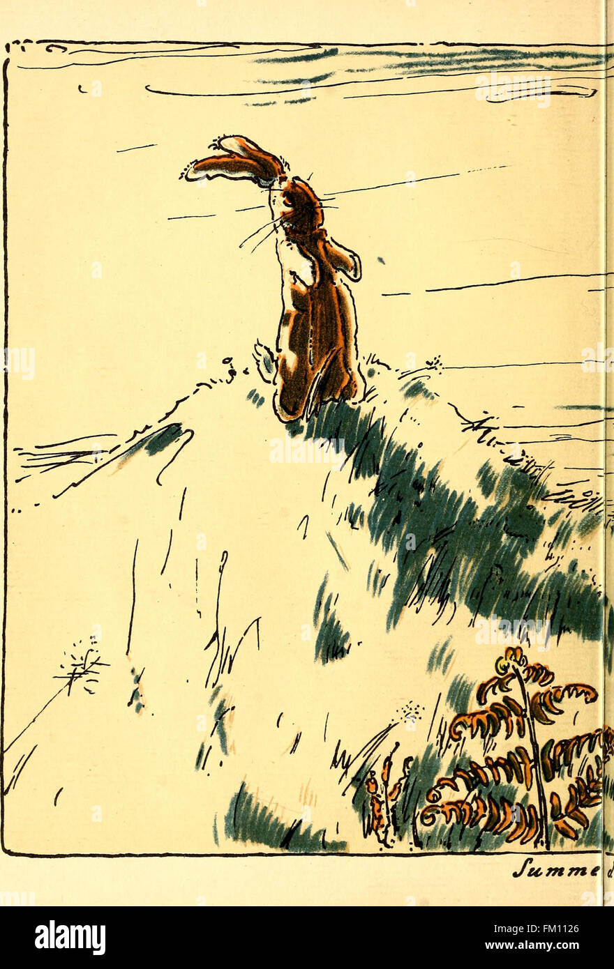 This classic 1922 children's book tells the story of a stuffed rabbit ...