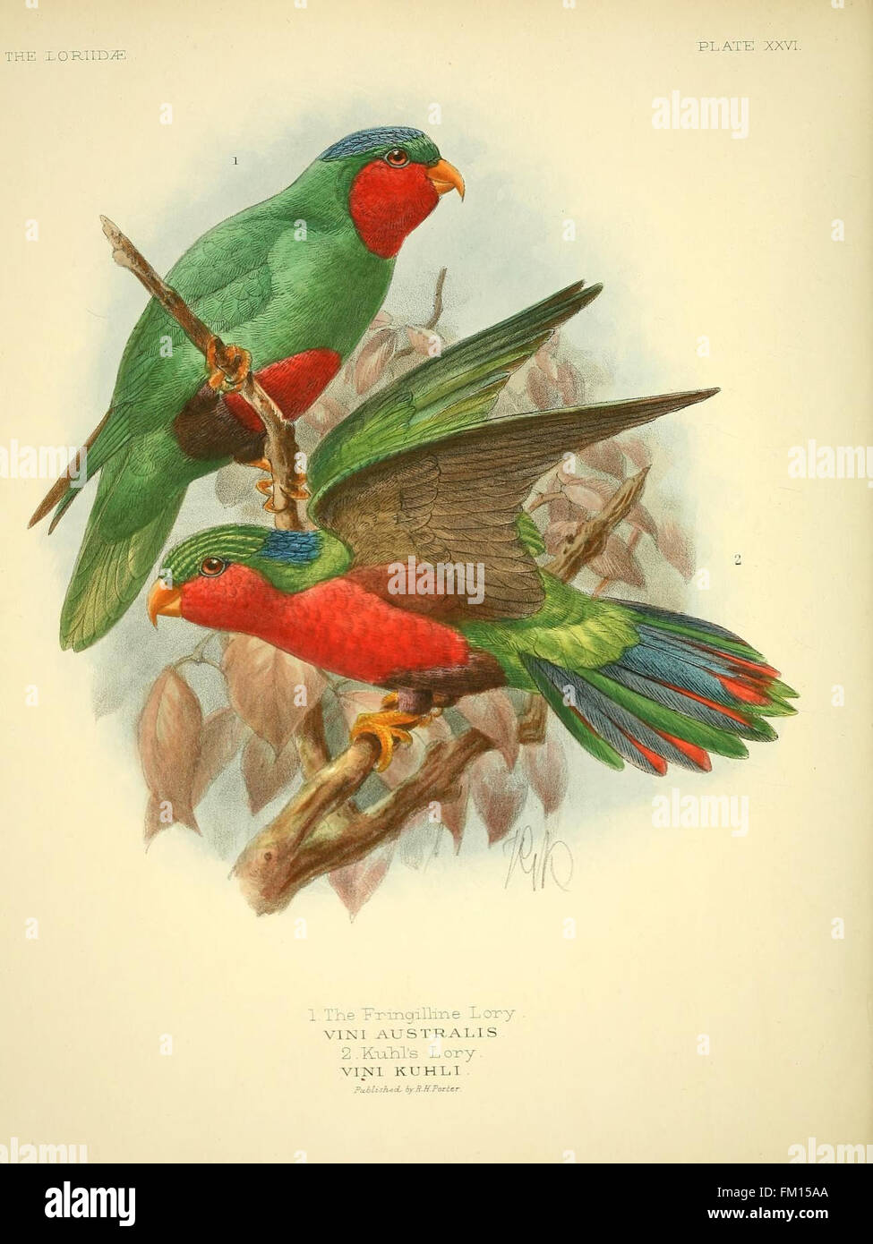 This monograph provides a detailed study of the lories a group