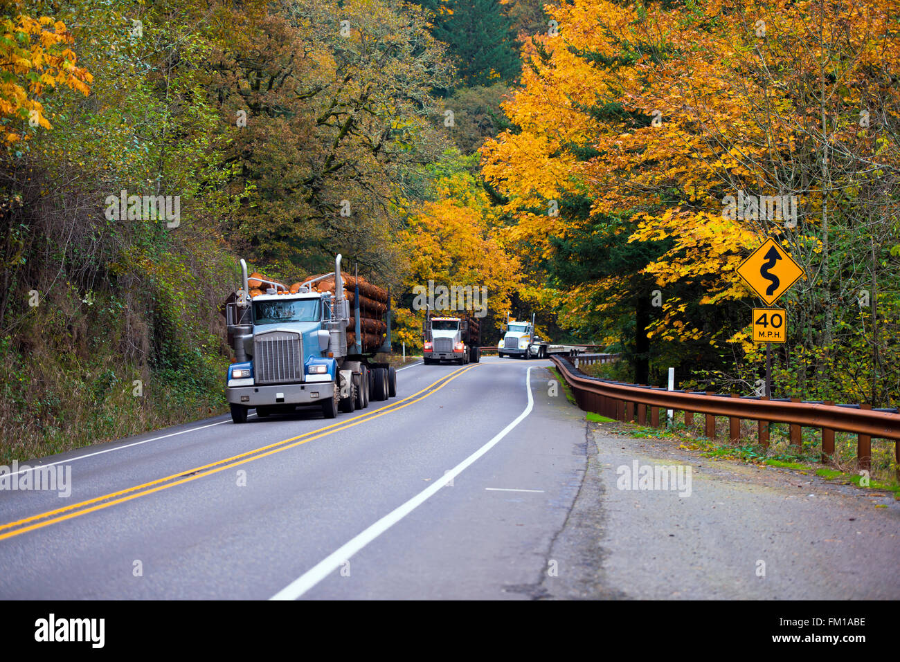 Three Big Rigs Three big rigs semi-truck moving column one by one on a winding forest ...