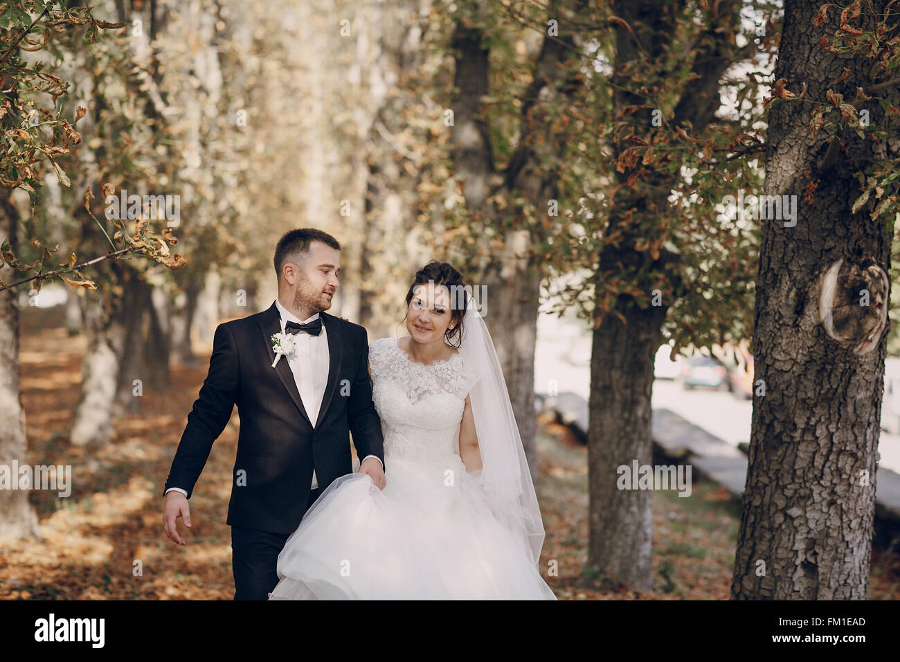 Couple wedding day leaves hi-res stock photography and images - Alamy