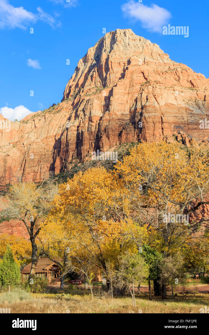 Travelling in the famous Zion National Park at Utah Stock Photo Alamy
