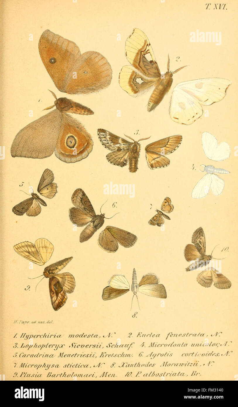 A scientific catalog from the Imperial Academy of Sciences, listing the
