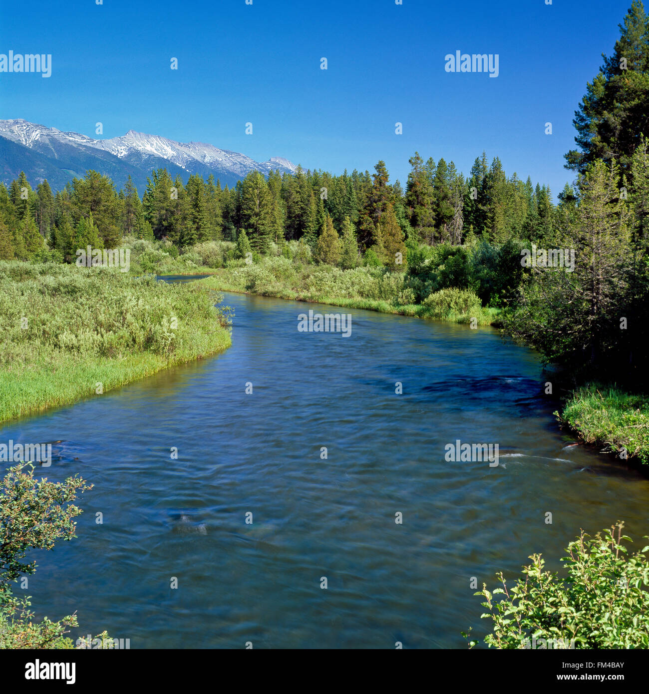 swan river below the swan range near condon, montana Stock Photo Alamy