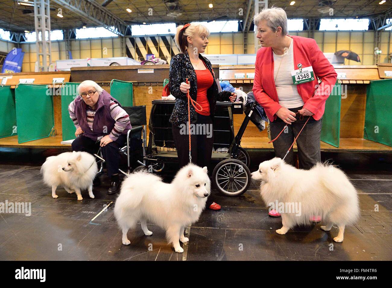 Birmingham Britain 10th Mar 16 Dog Owners Hold Their Japanese Spitz Dogs Before A Competition At The Crufts Dog Show In Birmingham Britain March 10 16 The Annual Four Day Event Opened On Birmingham Britain 10th Mar 16 Dog Owners Hold Their Japanese Spitz Dogs Before A Competition At The Crufts Dog Show In Birmingham Britain March 10 16 The Annual Four Day Event Opened On