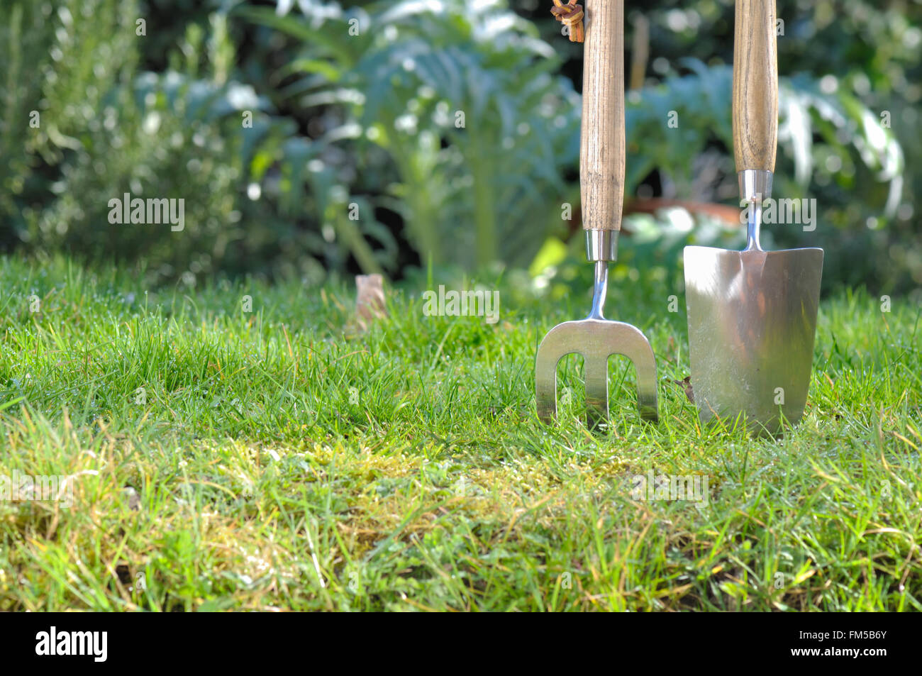 Grass gardening hi-res stock photography and images - Alamy