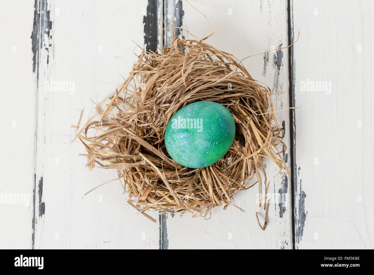 green egg in bird nest from above Stock Photo