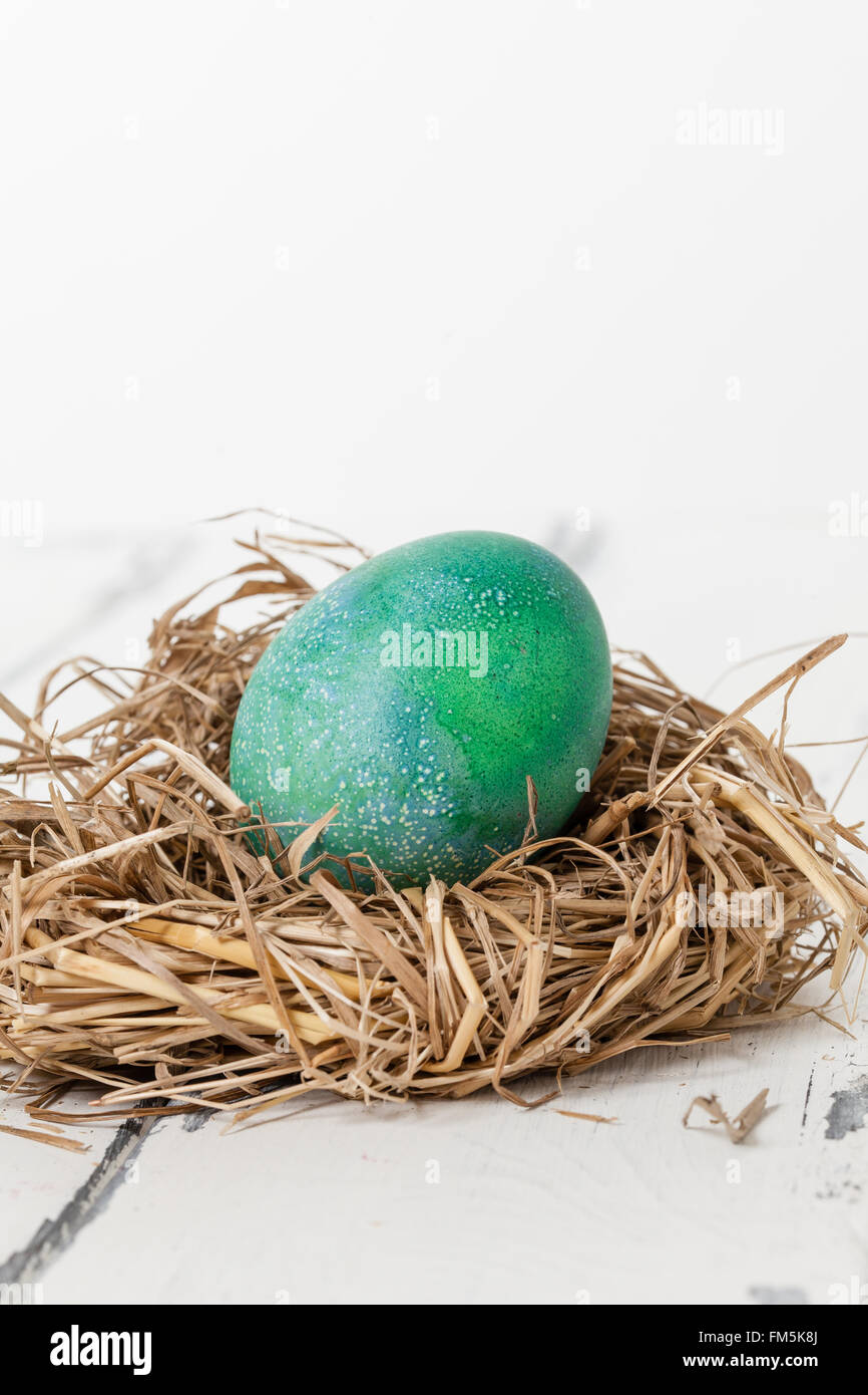 green egg in a bird nest Stock Photo