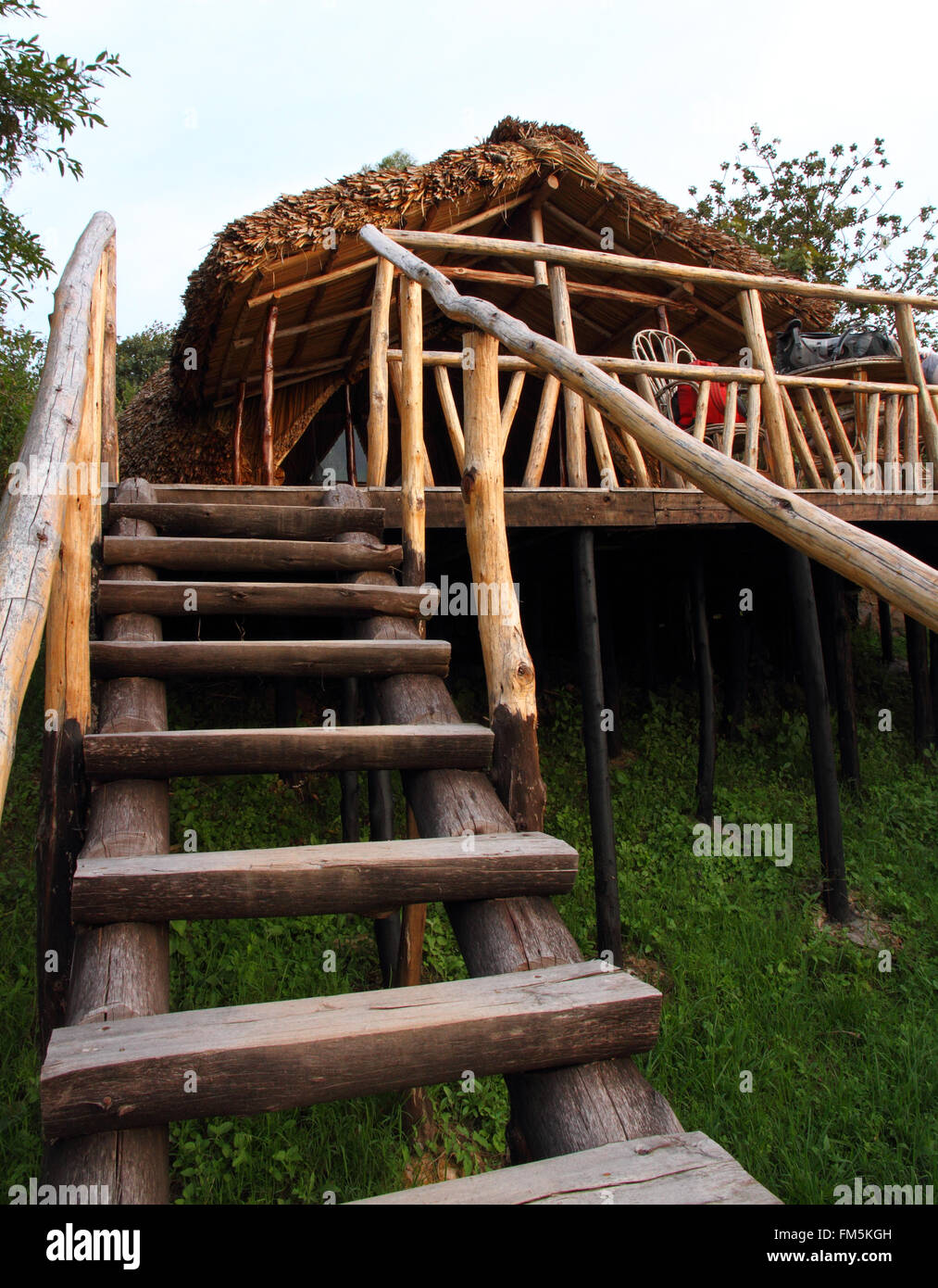 A rugged wooden staircase leading up to a rustic wooden and thatch hotel room built on stilts in the forest. Stock Photo