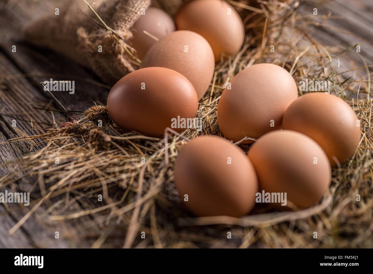 A pile of brown eggs in a nest Stock Photo - Alamy
