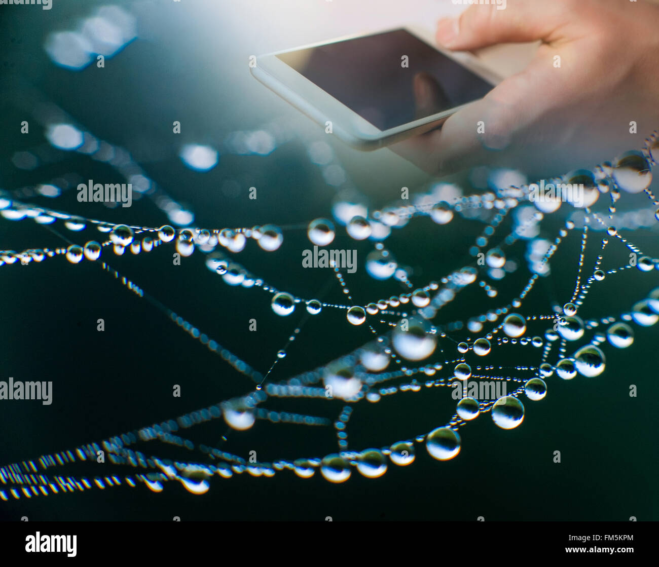 Hand holding modern mobile phone and web subscribers Stock Photo - Alamy