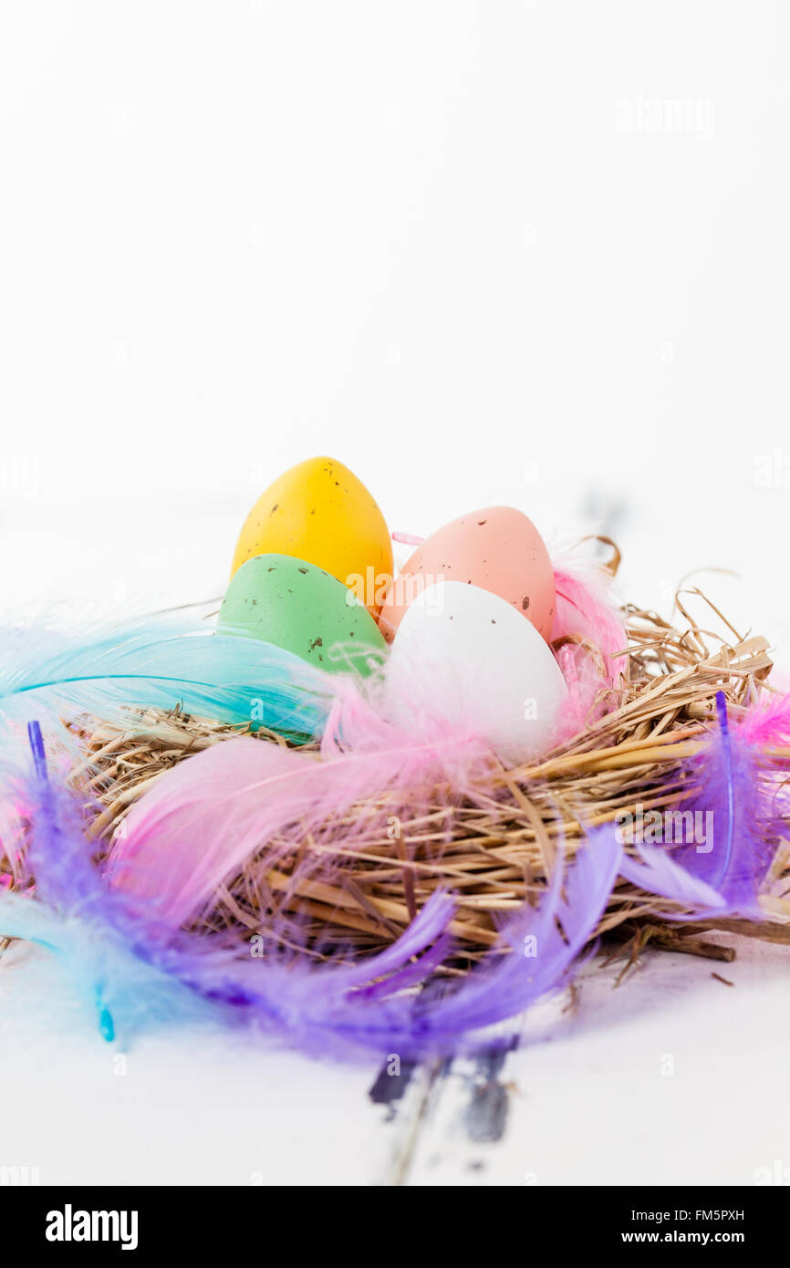 close up picture of four pastel colored eggs in a bird nest with feathers on white vintage wooden background Stock Photo