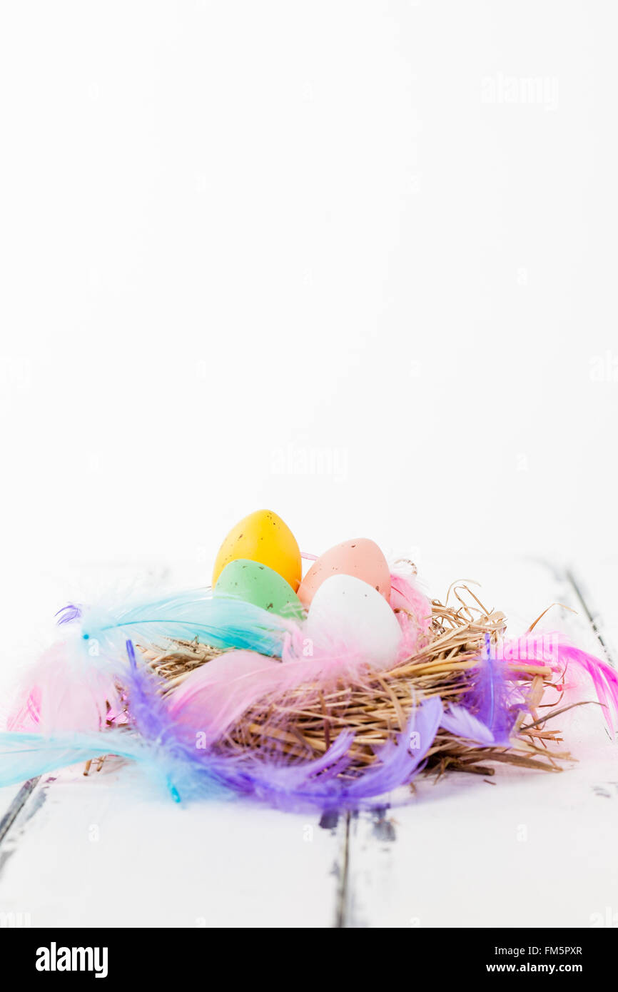 four pastel colored eggs in a bird nest with feathers on white vintage wooden background Stock Photo