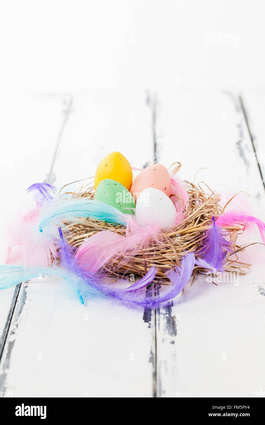 four pastel colored eggs in a bird nest with feathers on white vintage ...