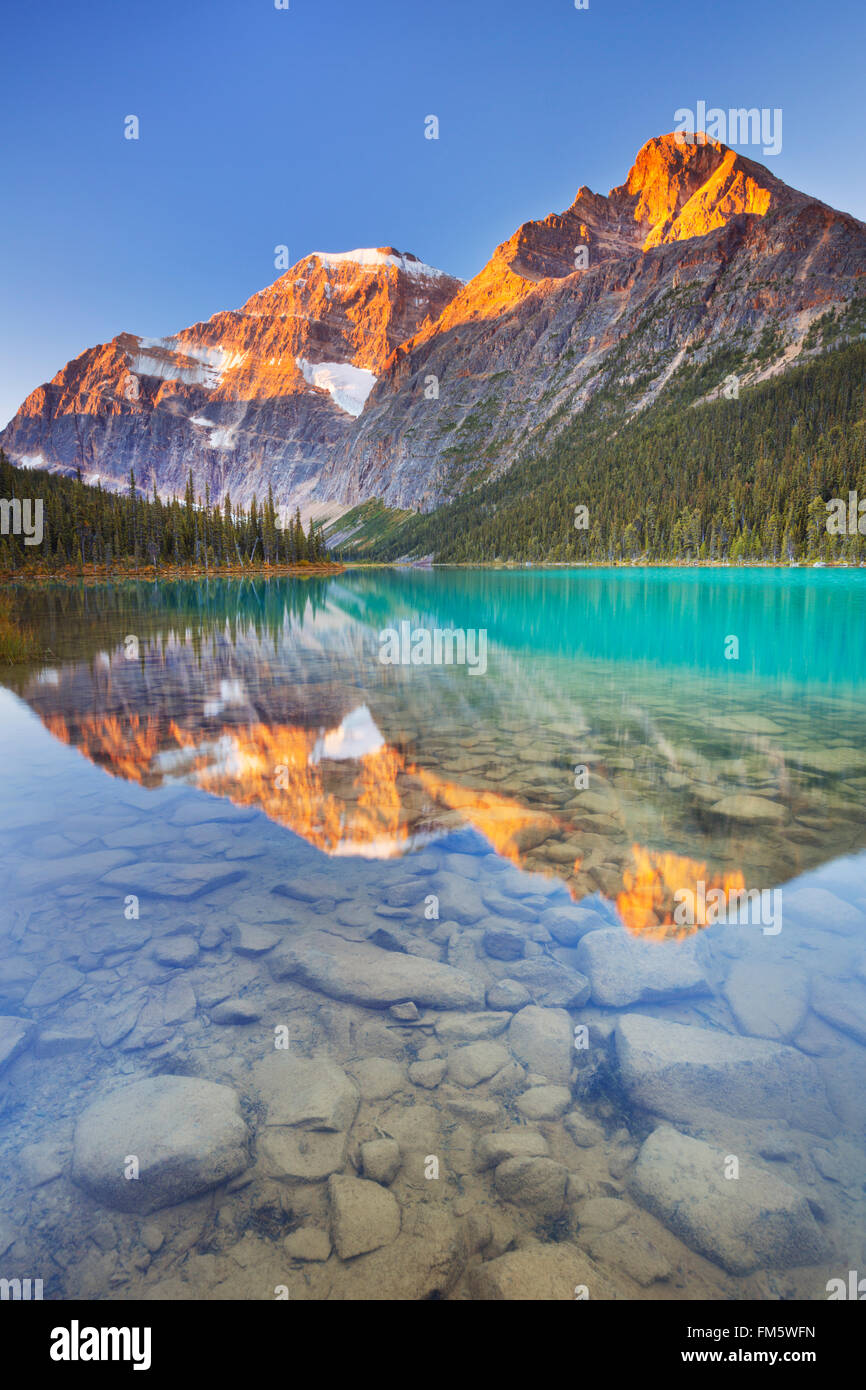 Mount Edith Cavell reflected in Cavell Lake in Jasper National Park, Canada. Photographed at sunrise. Stock Photo