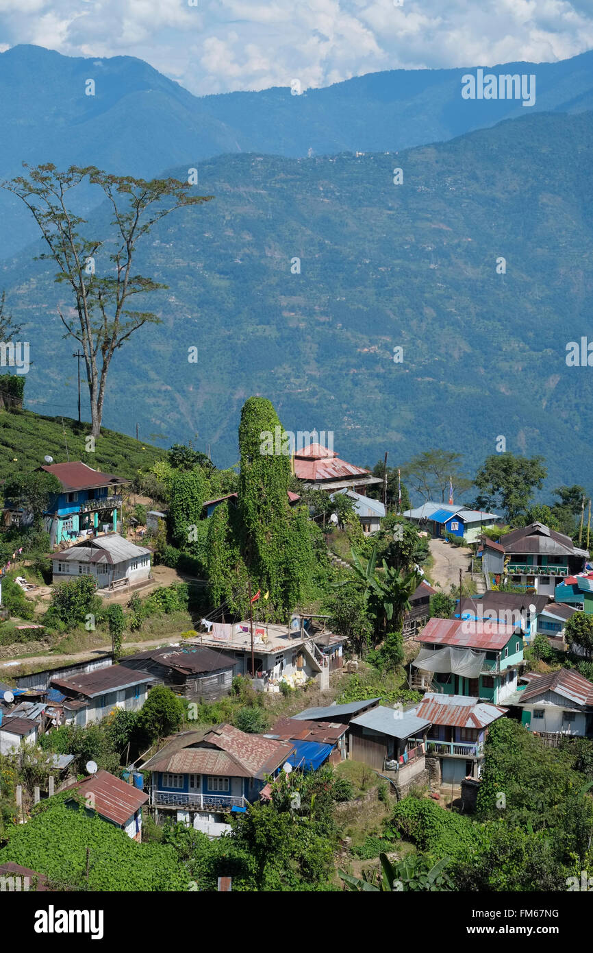 Hilltop village on the edge of the Puttabong (Tukvar) tea estate, Darjeeling, West Bengal, India. Stock Photo