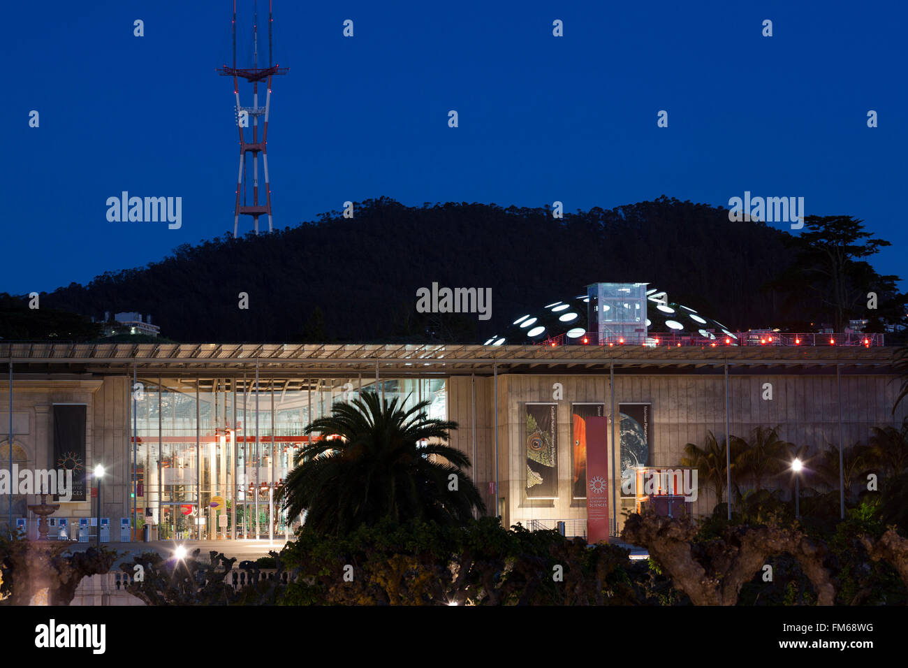 A night view of the exterior California Academy of Sciences, Golden Gate Park, San Francisco, California, with radio transmitter on hillside behind. Stock Photo