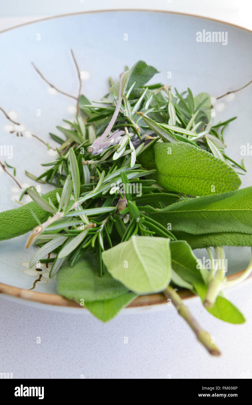 Selection of Fresh Herbs Stock Photo