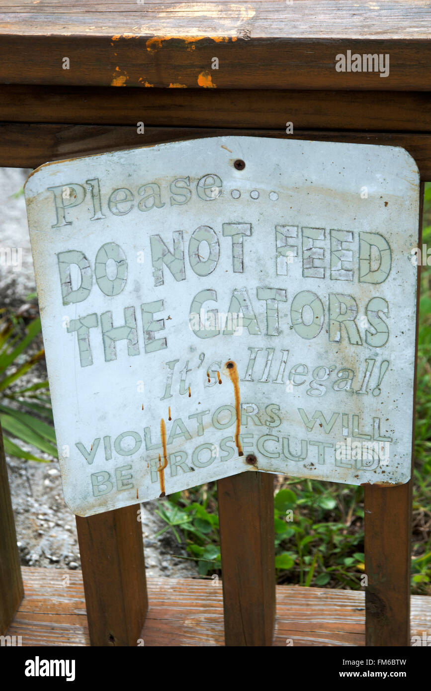 A homemade sign, nailed to the posts, warning against feeding the Alligators as it is illegal. Stock Photo