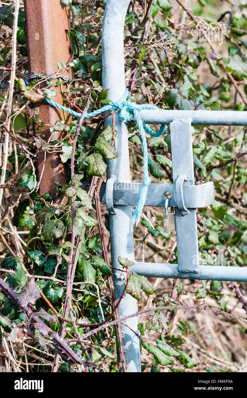 Field gate tied with rope. Stock Photo