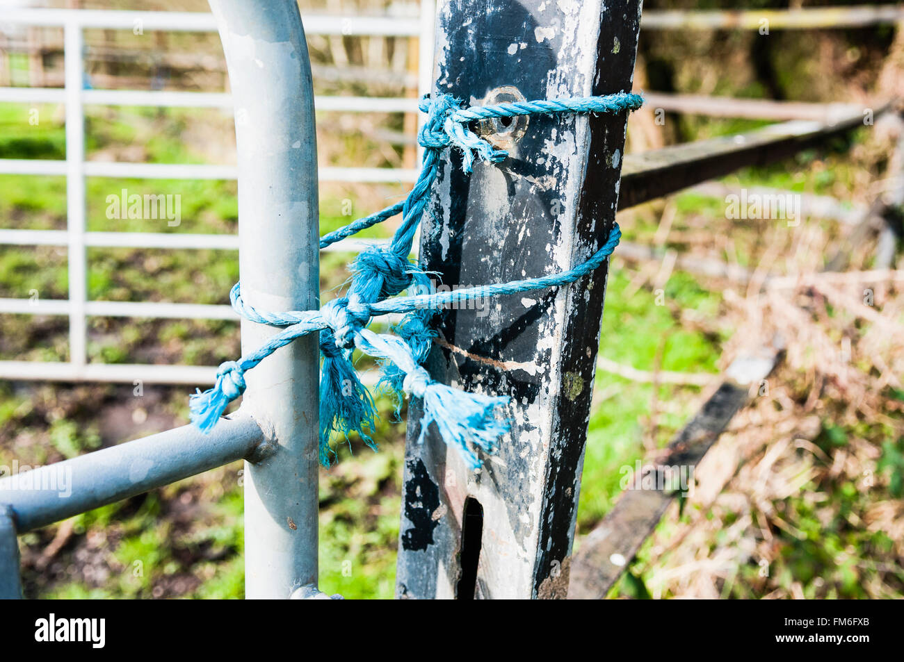 Field gate tied with rope. Stock Photo