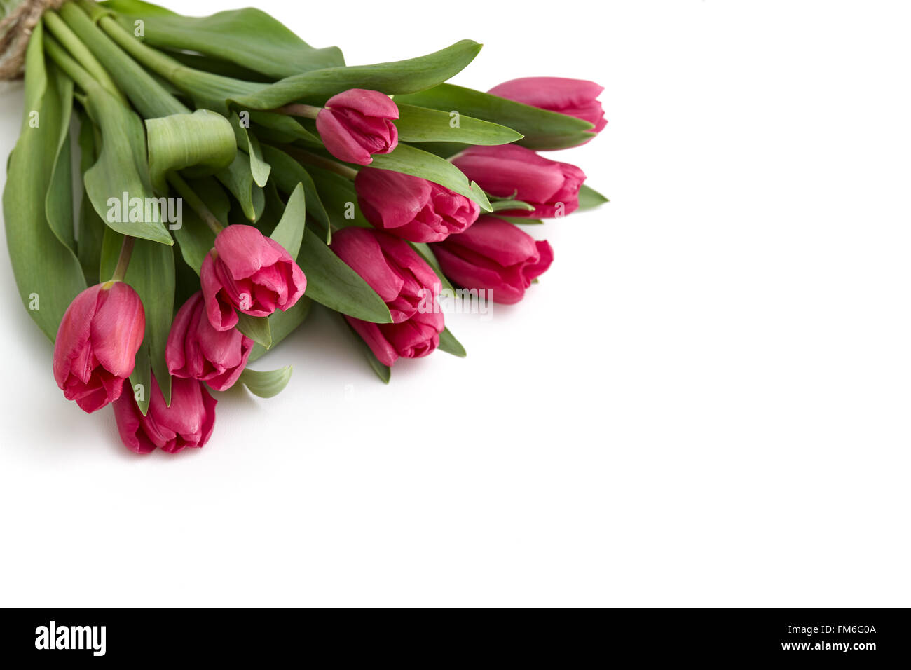 Tulips bouquet on a white background Stock Photo - Alamy