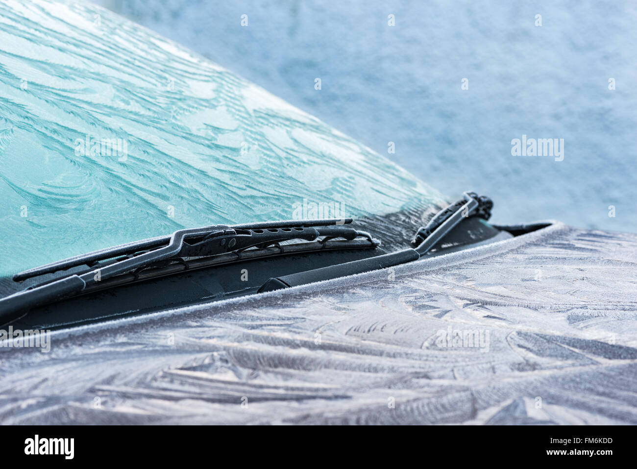 Defrosting The Windshield With An Anti Ice Spray Stock Photo - Download  Image Now - Defrosting, Car, Windshield - iStock