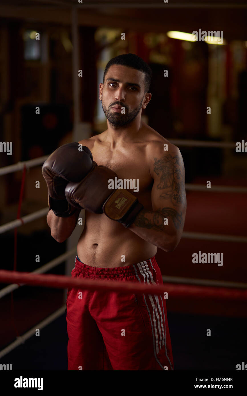 Professional Light Middleweight Boxer Aarron Stock Photo Alamy