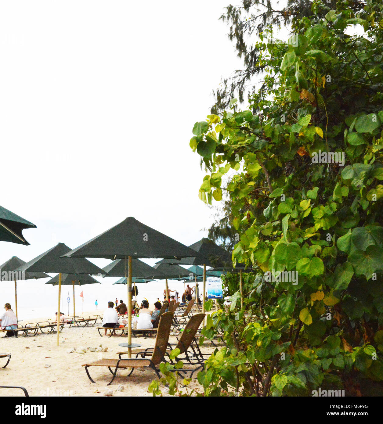 Green Island, Queensland, Great Barrier Reef, Australia Stock Photo