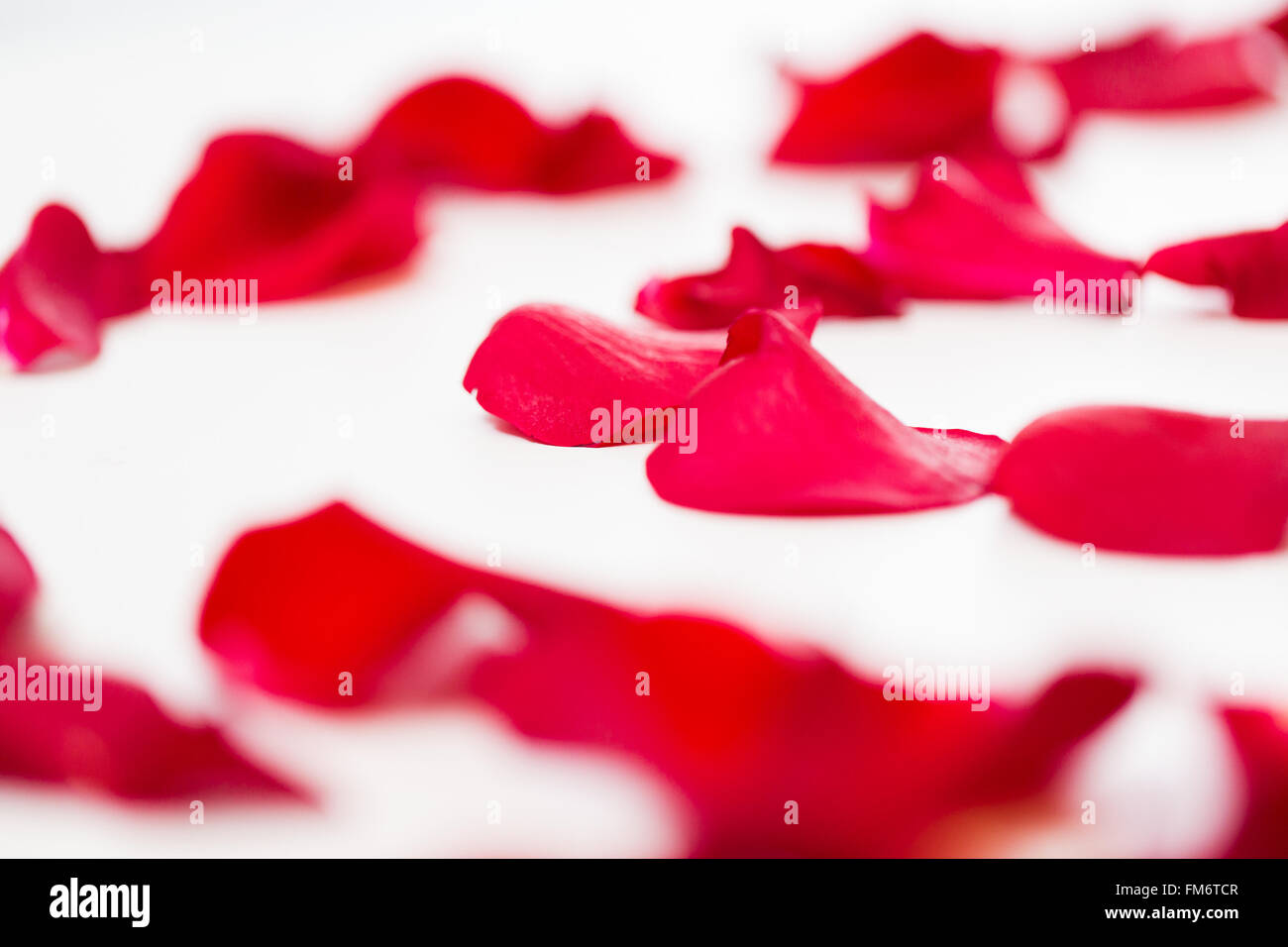 close up of red rose petals Stock Photo - Alamy