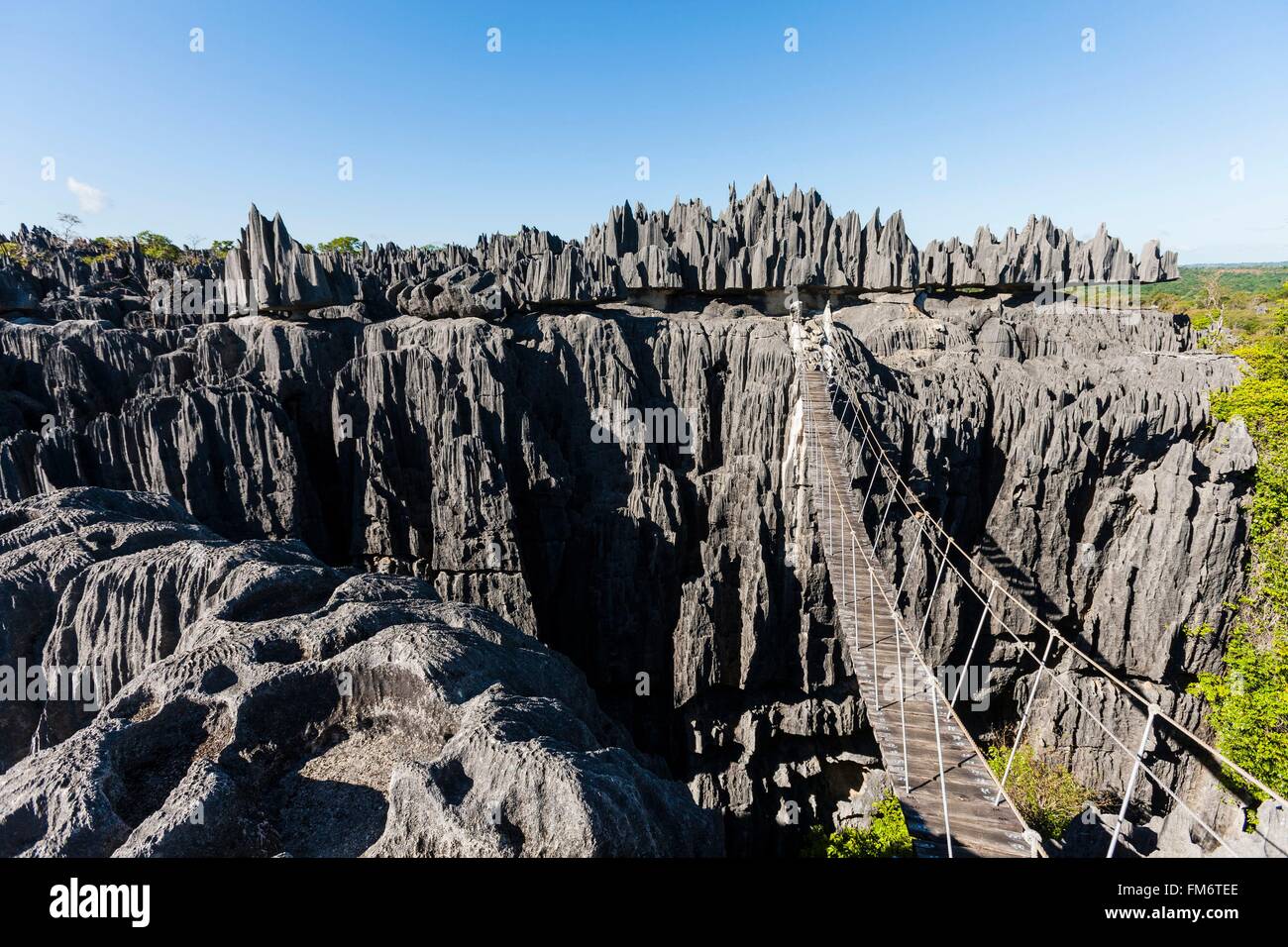 Madagascar North West Region Tsingy De Bemaraha Strict Nature Stock Photo Alamy Madagascar North West Region Tsingy De Bemaraha Strict Nature Stock Photo Alamy