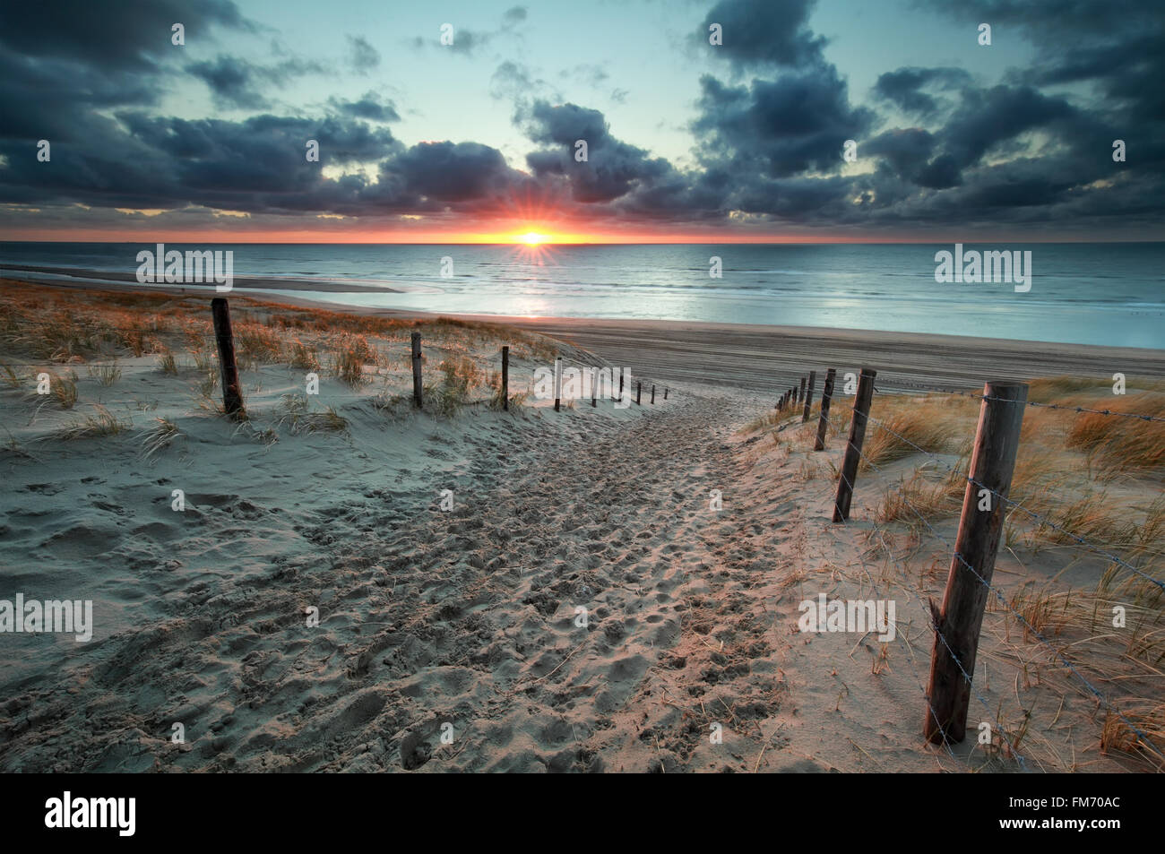 sand path to North sea beach at sunset, Netherlands Stock Photo - Alamy