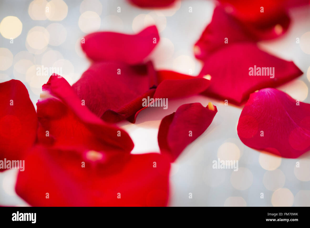 close up of red rose petals Stock Photo - Alamy