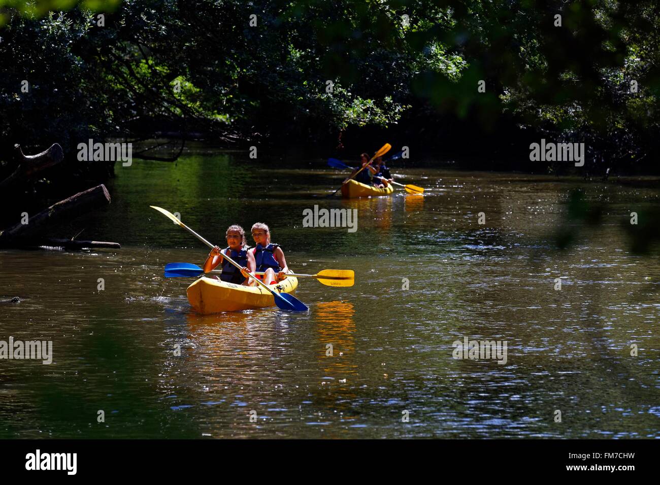 France, Gironde, Bassin d'Arcachon, Le Teich, kayaking on the Leyre river Stock Photo