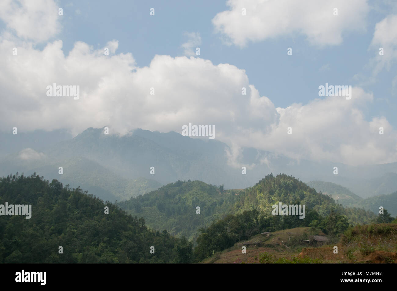 A view of the rice fields and hills of Sapa, Vietnam Stock Photo