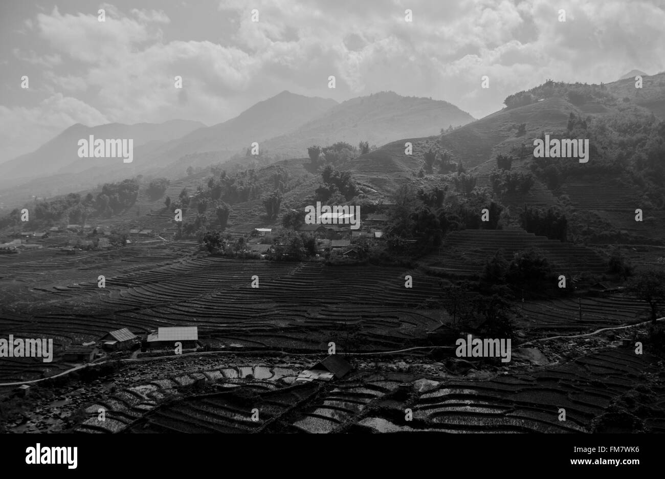 A view of the rice fields and hills of Sapa, Vietnam, converted to black and white Stock Photo