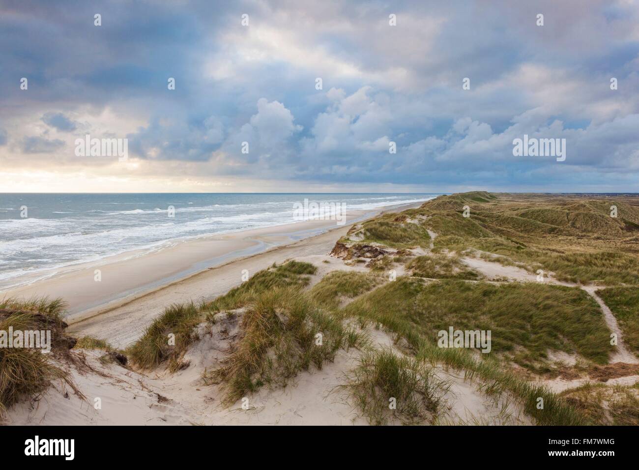 Denmark, Jutland, Danish Riviera, Hvide Sande, coastal dunes, dusk Stock Photo