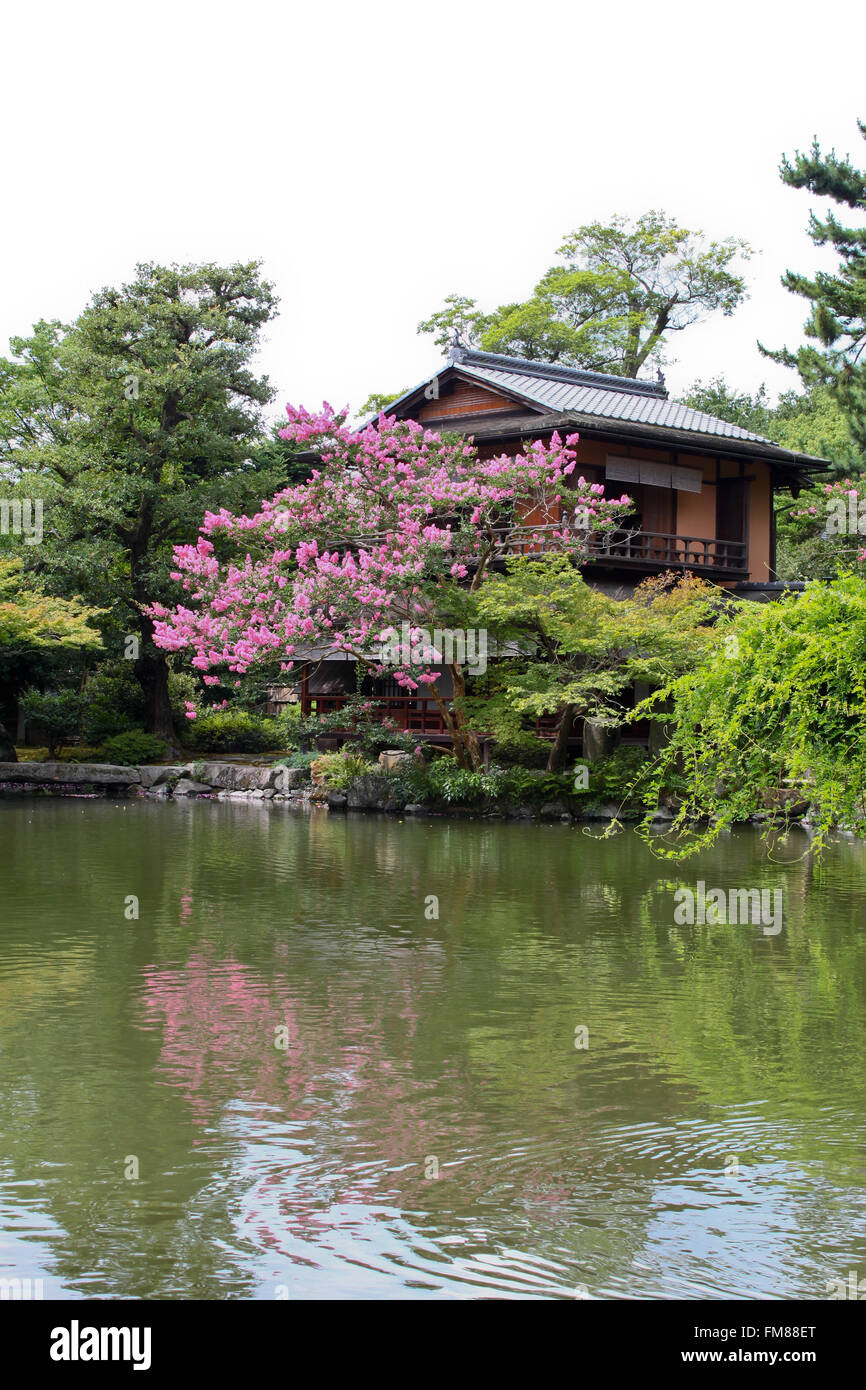Tipical Japan House on lake river with blossom tree Stock Photo - Alamy