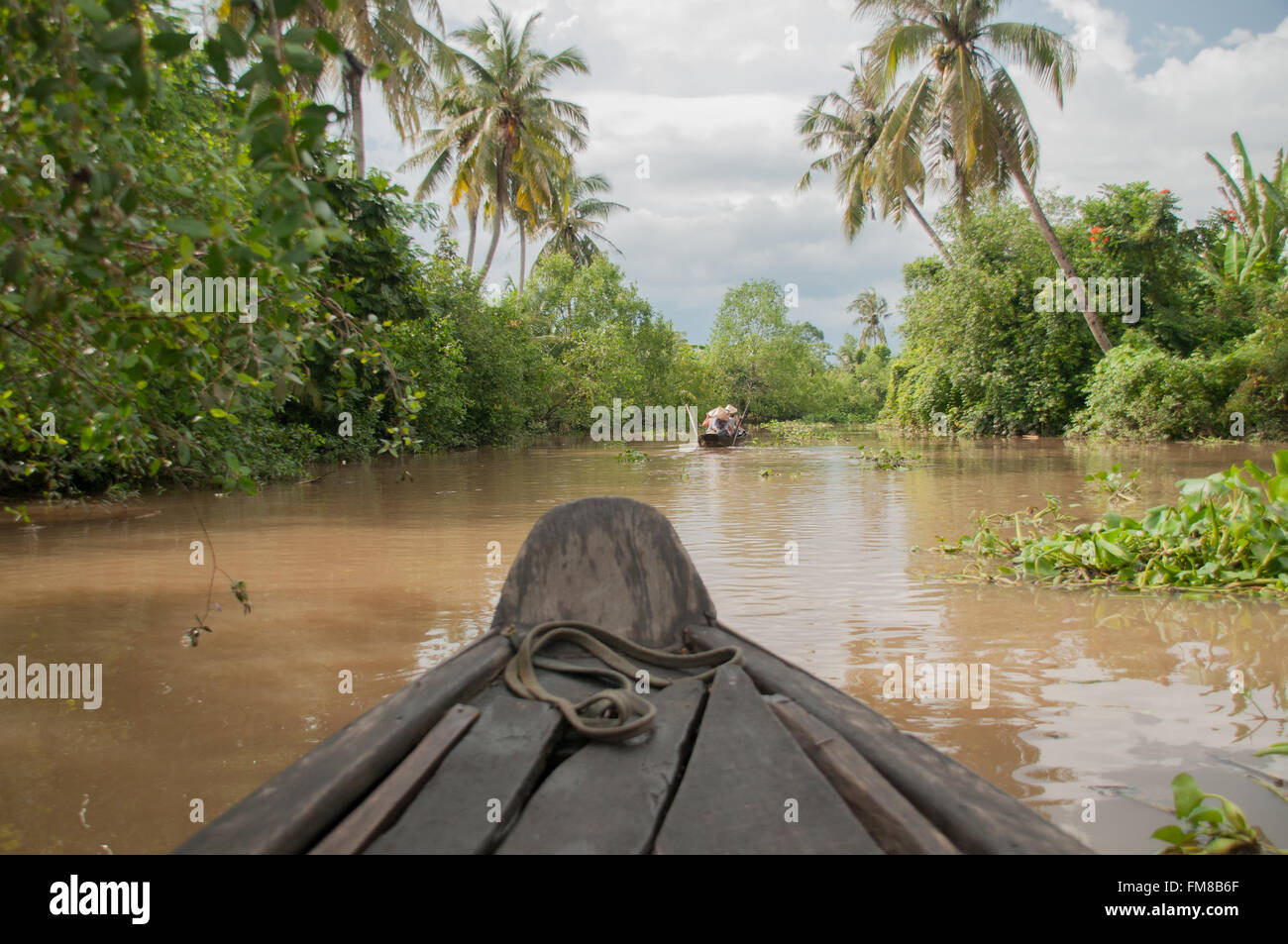 A view of the Mekong Delta from a Vietnamese rowing boat, Vietnam Stock ...