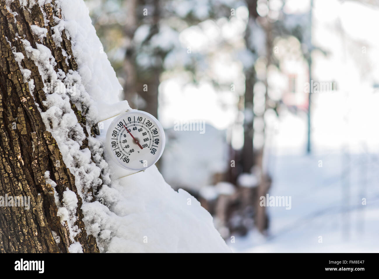 Springtime will come.  Round analogue thermometer mounted to a tree outside displays mild winter temperatures. Stock Photo