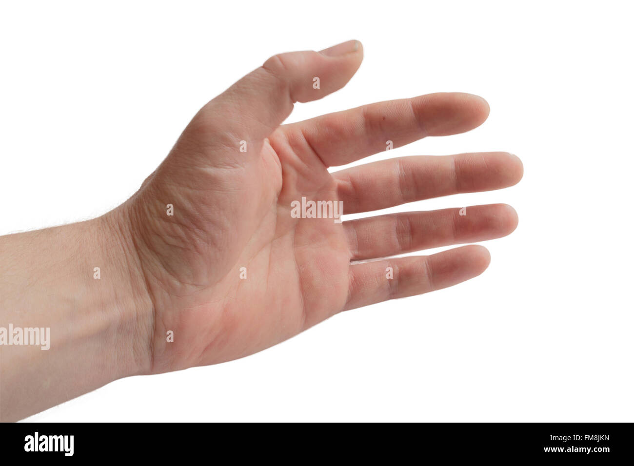 isolate a human hand on a white background Stock Photo Alamy