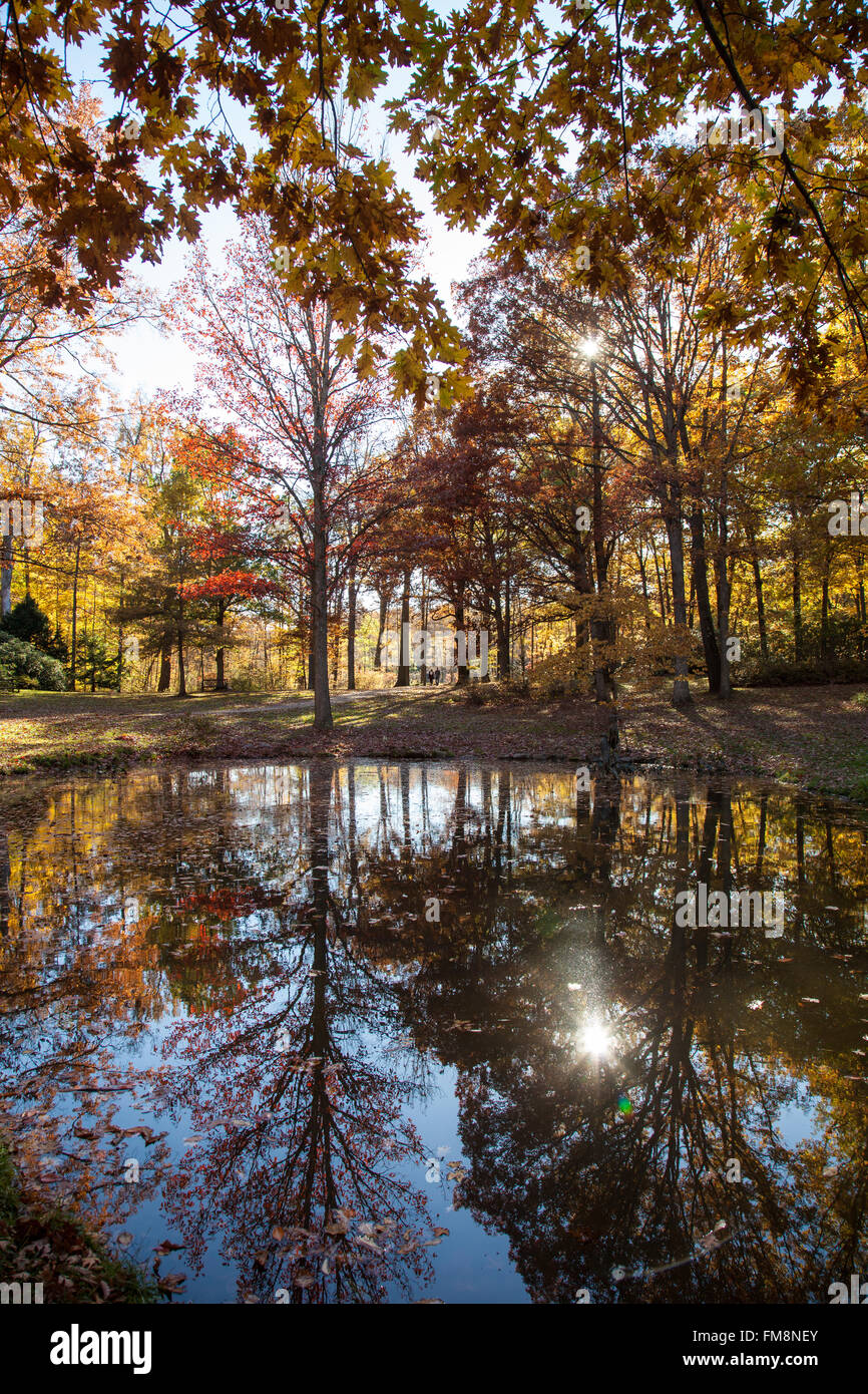 Autumn scenic at Holden Arboretum in Kirtland, Ohio Stock Photo Alamy