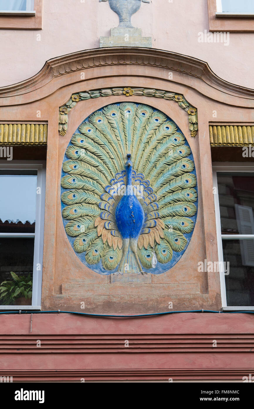 Colorful peacock sculpture adorns a historic building in Italy. Stock Photo