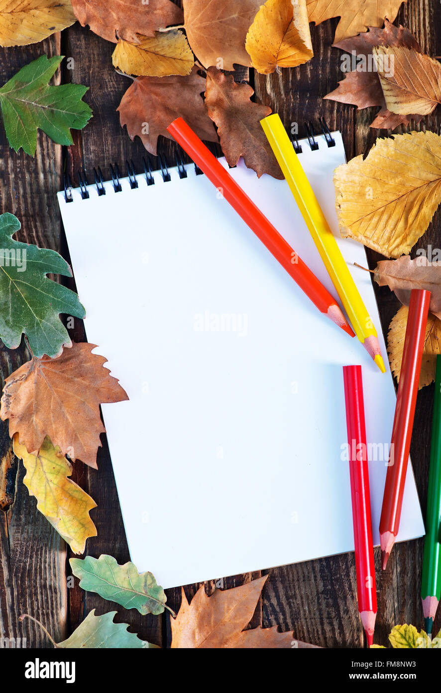 Empty book cover autumn leaves hi-res stock photography and images - Alamy