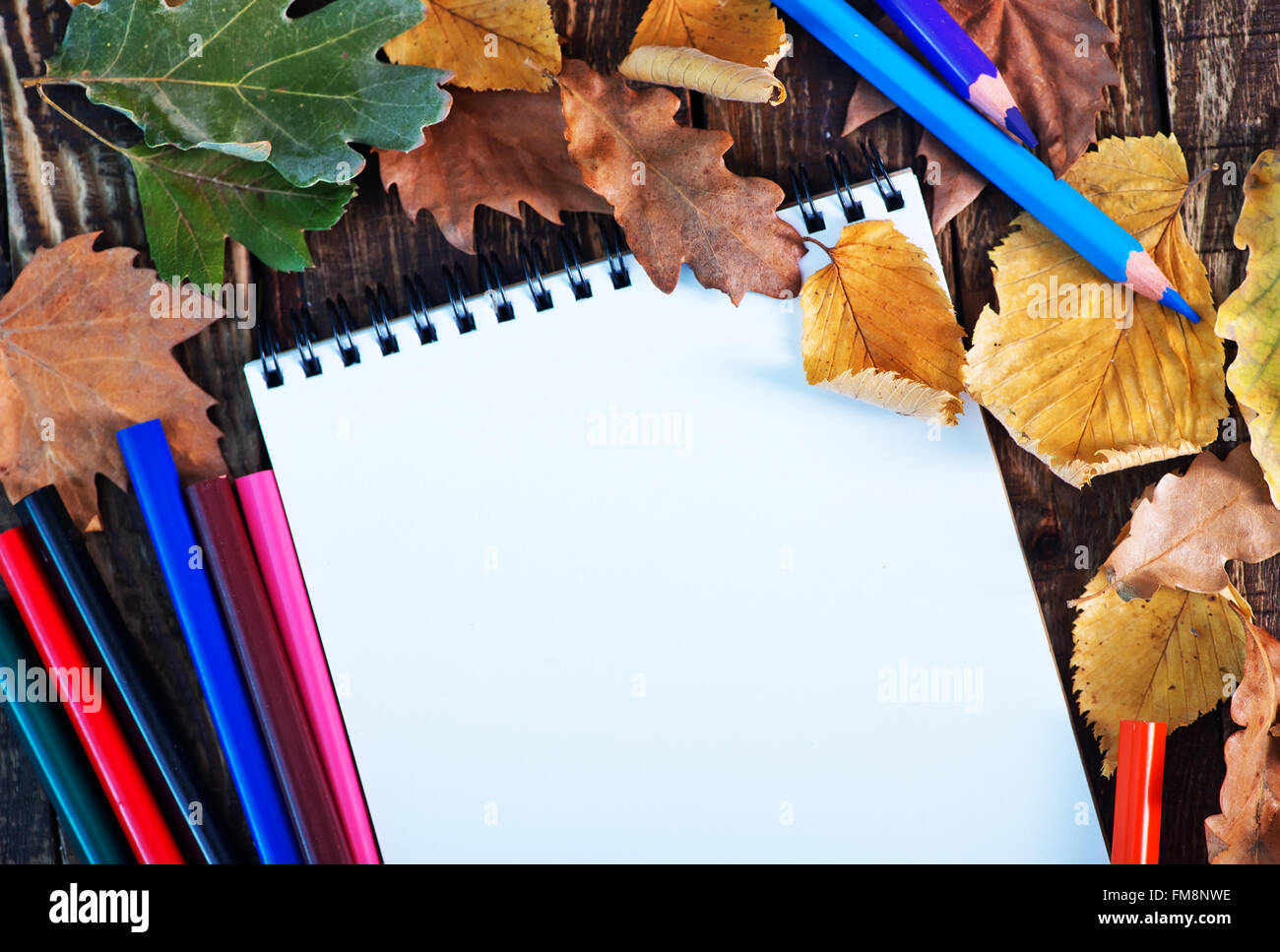 Empty book cover autumn leaves hi-res stock photography and images - Alamy