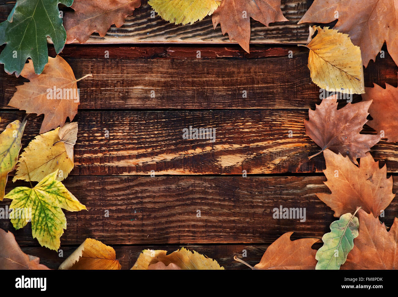 Empty book cover autumn leaves hi-res stock photography and images - Alamy